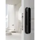 D100-4.webp